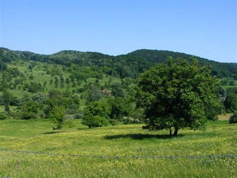 vreme pucioasa|Vremea Pucioasa